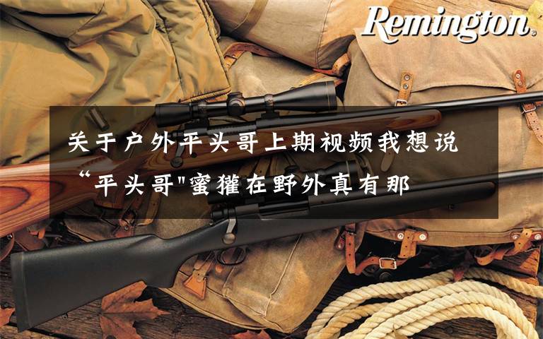 关于户外平头哥上期视频我想说“平头哥"蜜獾在野外真有那么强吗?真相在这里-户外动物知识