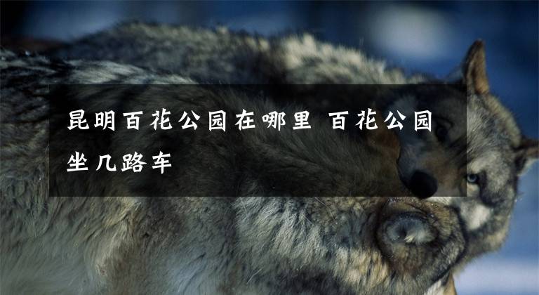 昆明百花公园在哪里 百花公园坐几路车