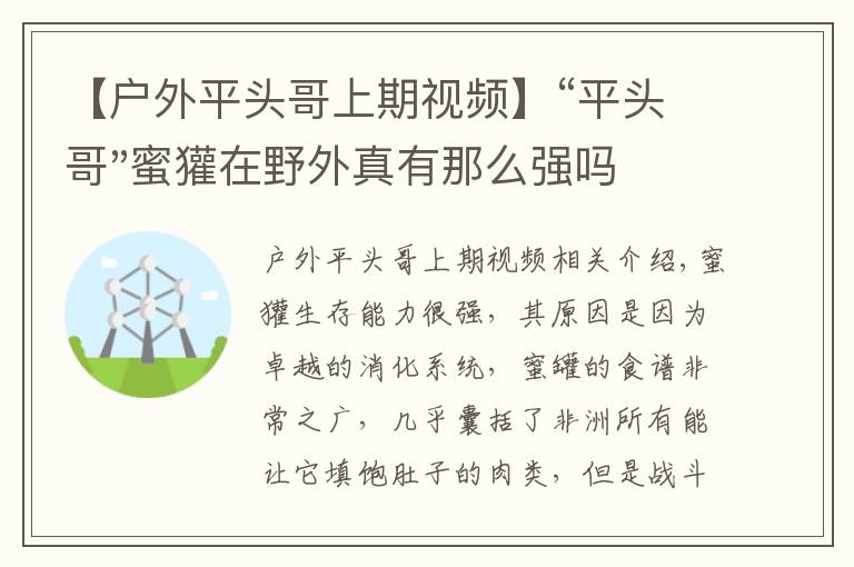 【户外平头哥上期视频】“平头哥"蜜獾在野外真有那么强吗?真相在这里-户外动物知识