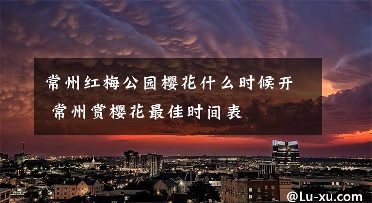 常州红梅公园樱花什么时候开 常州赏樱花最佳时间表