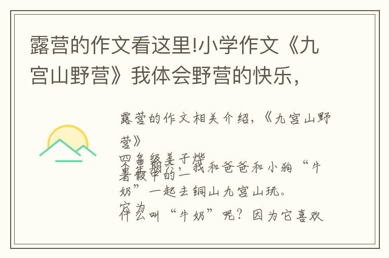 露营的作文看这里!小学作文《九宫山野营》我体会野营的快乐,还知道怎样帮助小动物