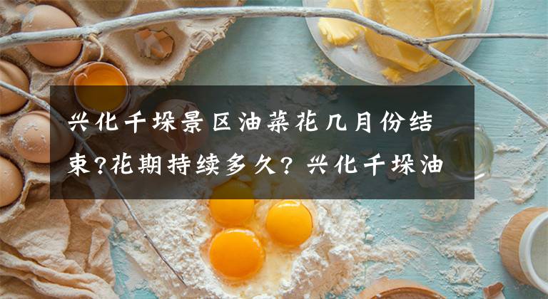 兴化千垛景区油菜花几月份结束?花期持续多久? 兴化千垛油菜花盛开了吗