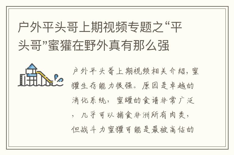 户外平头哥上期视频专题之“平头哥"蜜獾在野外真有那么强吗?真相在这里-户外动物知识