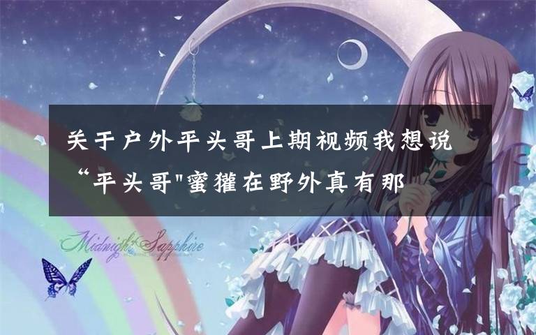 关于户外平头哥上期视频我想说“平头哥"蜜獾在野外真有那么强吗?真相在这里-户外动物知识