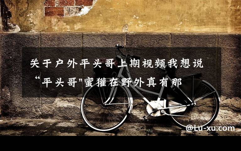 关于户外平头哥上期视频我想说“平头哥"蜜獾在野外真有那么强吗?真相在这里-户外动物知识