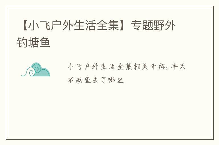 【小飞户外生活全集】专题野外钓塘鱼