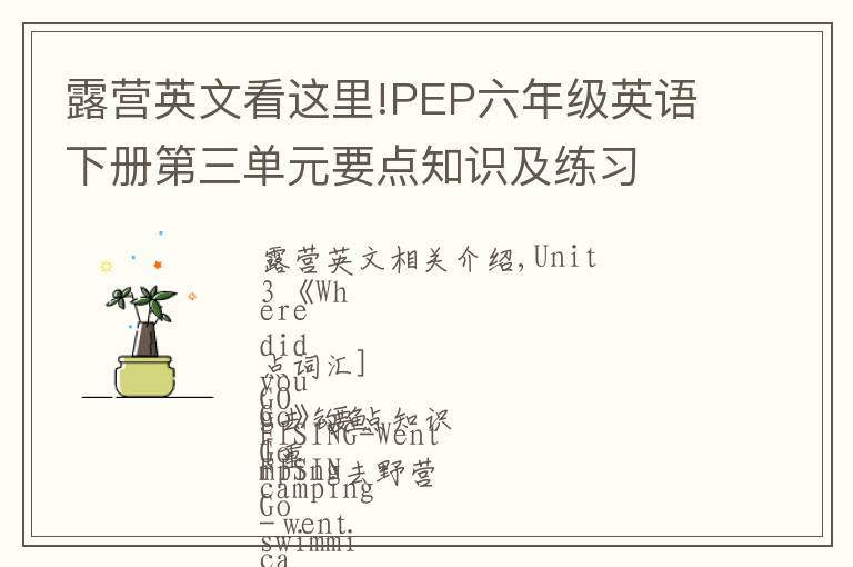 露营英文看这里!PEP六年级英语下册第三单元要点知识及练习