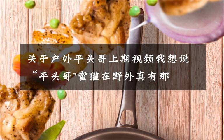 关于户外平头哥上期视频我想说“平头哥"蜜獾在野外真有那么强吗?真相在这里-户外动物知识