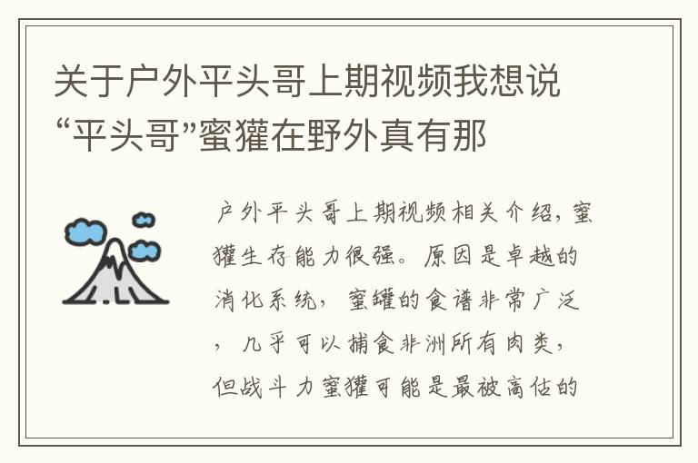 关于户外平头哥上期视频我想说“平头哥"蜜獾在野外真有那么强吗?真相在这里-户外动物知识