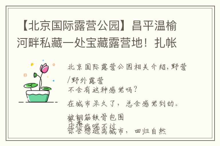 【北京国际露营公园】昌平温榆河畔私藏一处宝藏露营地!扎帐篷、户外赛、采摘,超多游乐活动等你来