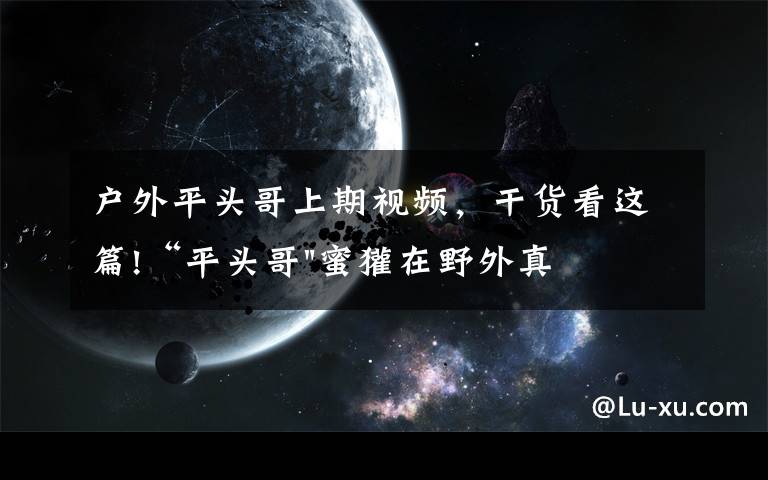 户外平头哥上期视频,干货看这篇!“平头哥"蜜獾在野外真有那么强吗?真相在这里-户外动物知识