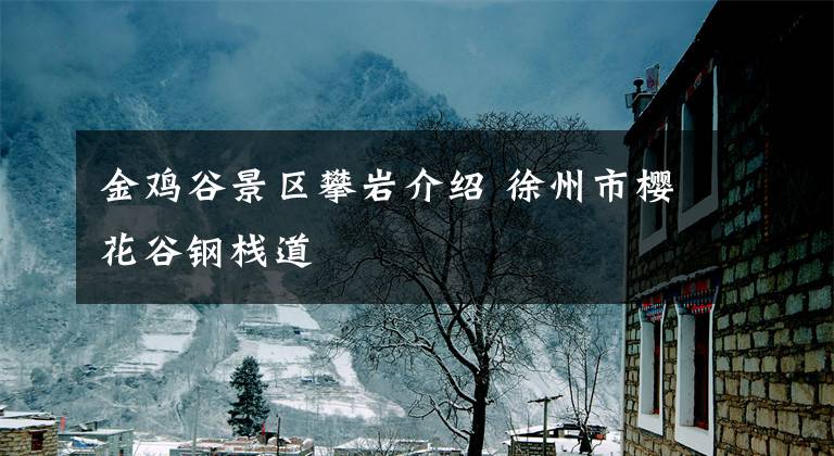 金鸡谷景区攀岩介绍 徐州市樱花谷钢栈道