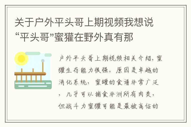 关于户外平头哥上期视频我想说“平头哥"蜜獾在野外真有那么强吗?真相在这里-户外动物知识