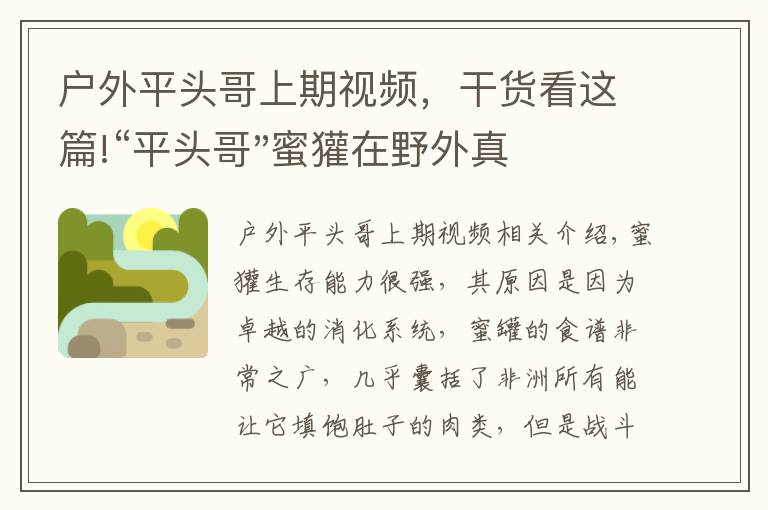 户外平头哥上期视频,干货看这篇!“平头哥"蜜獾在野外真有那么强吗?真相在这里-户外动物知识
