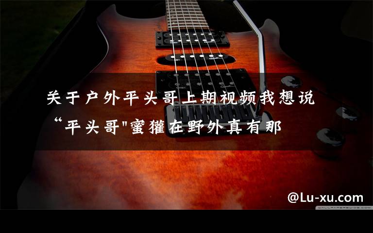 关于户外平头哥上期视频我想说“平头哥"蜜獾在野外真有那么强吗?真相在这里-户外动物知识