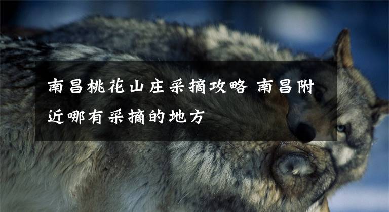 南昌桃花山庄采摘攻略 南昌附近哪有采摘的地方