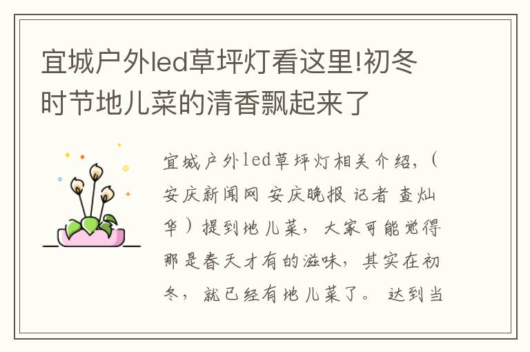 宜城户外led草坪灯看这里!初冬时节地儿菜的清香飘起来了