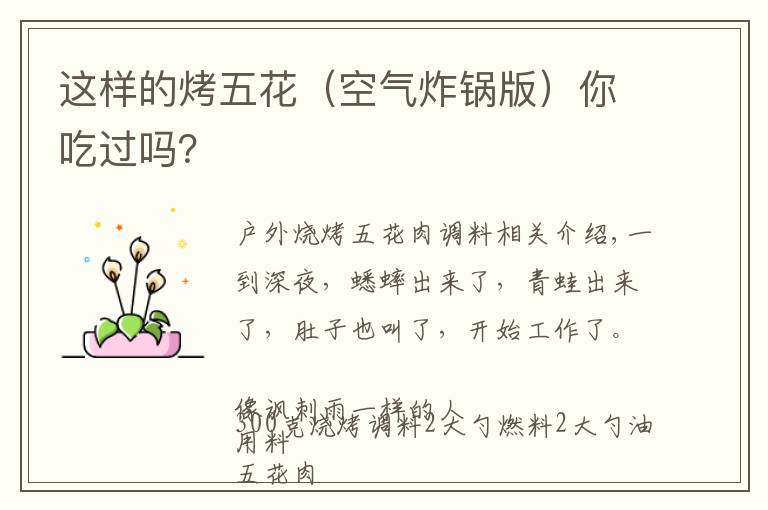 这样的烤五花（空气炸锅版）你吃过吗？