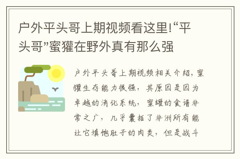户外平头哥上期视频看这里!“平头哥"蜜獾在野外真有那么强吗?真相在这里-户外动物知识