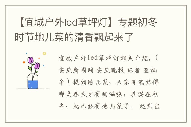 【宜城户外led草坪灯】专题初冬时节地儿菜的清香飘起来了