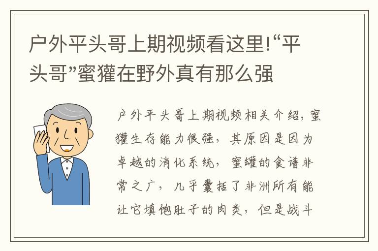 户外平头哥上期视频看这里!“平头哥"蜜獾在野外真有那么强吗?真相在这里-户外动物知识