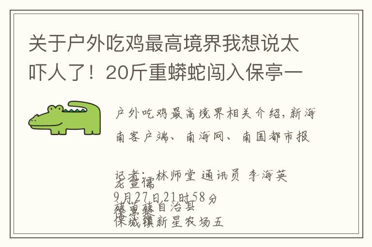 关于户外吃鸡最高境界我想说太吓人了!20斤重蟒蛇闯入保亭一农户家“吃鸡”