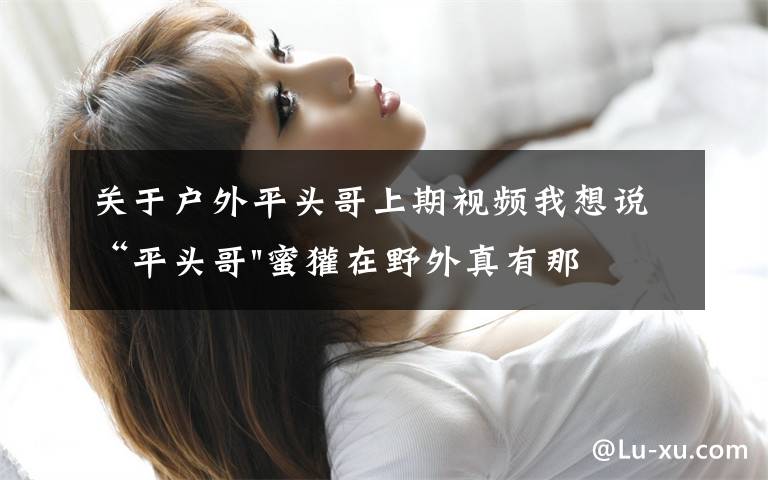 关于户外平头哥上期视频我想说“平头哥"蜜獾在野外真有那么强吗？真相在这里-户外动物知识