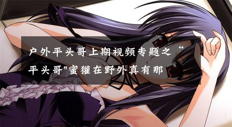 户外平头哥上期视频专题之“平头哥"蜜獾在野外真有那么强吗?真相在这里-户外动物知识