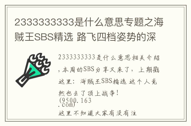 2333333333是什么意思专题之海贼王SBS精选 路飞四档姿势的深意!