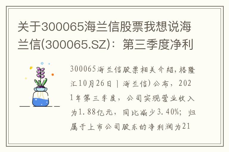 关于300065海兰信股票我想说海兰信(300065.SZ):第三季度净利润降93.53%至213.9万元