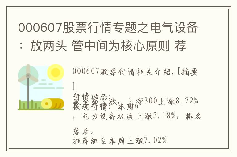 000607股票行情专题之电气设备：放两头 管中间为核心原则 荐2股