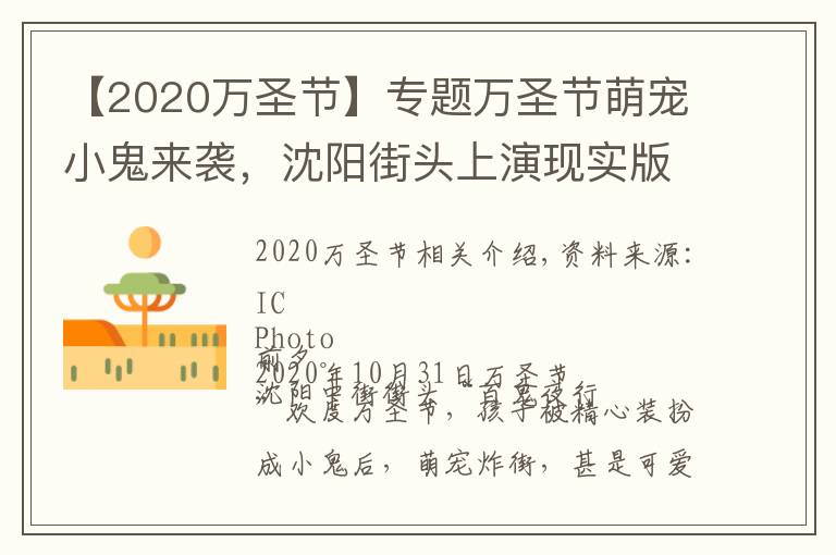 【2020万圣节】专题万圣节萌宠小鬼来袭,沈阳街头上演现实版“小鬼当街”
