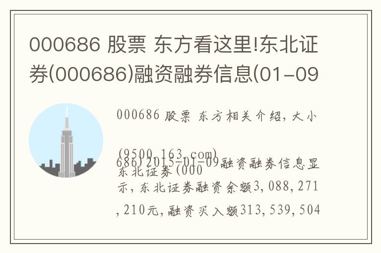 000686 股票 东方看这里!东北证券(000686)融资融券信息(01-09)