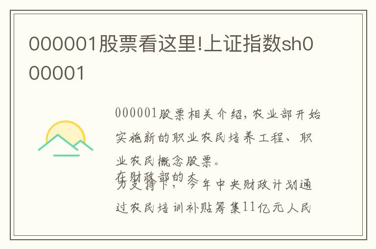 000001股票看这里!上证指数sh000001