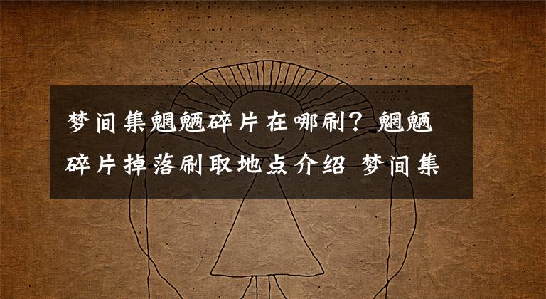梦间集魍魉碎片在哪刷?魍魉碎片掉落刷取地点介绍 梦间集魍魉之潮开启时间