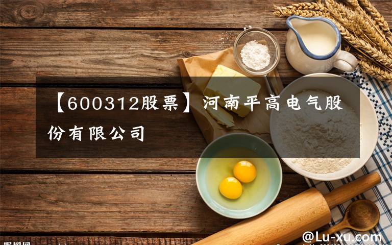 【600312股票】河南平高电气股份有限公司