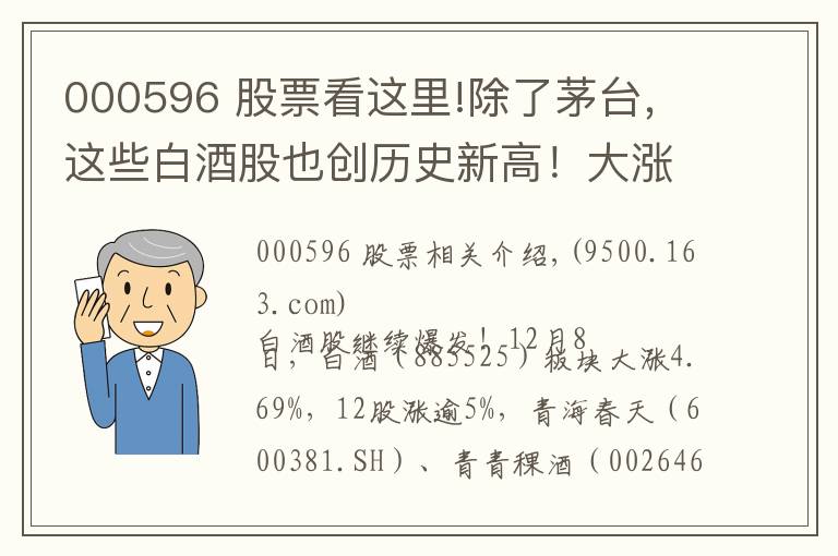000596 股票看这里!除了茅台,这些白酒股也创历史新高!大涨背后的逻辑是啥?(附股)