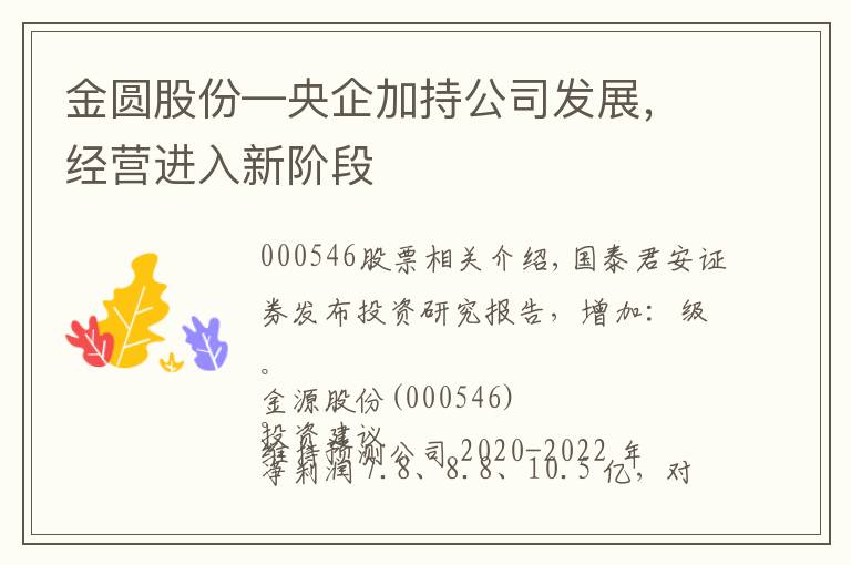 金圆股份—央企加持公司发展,经营进入新阶段