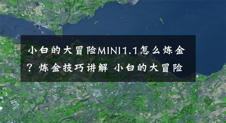 小白的大冒险MINI1.1怎么炼金?炼金技巧讲解 小白的大冒险炼金配方