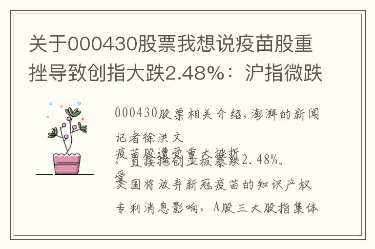 关于000430股票我想说疫苗股重挫导致创指大跌2.48%：沪指微跌，个股涨多跌少