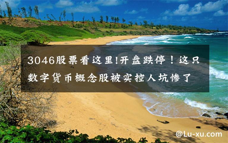 3046股票看这里!开盘跌停!这只数字货币概念股被实控人坑惨了,资金占用近亿,违规担保超3亿