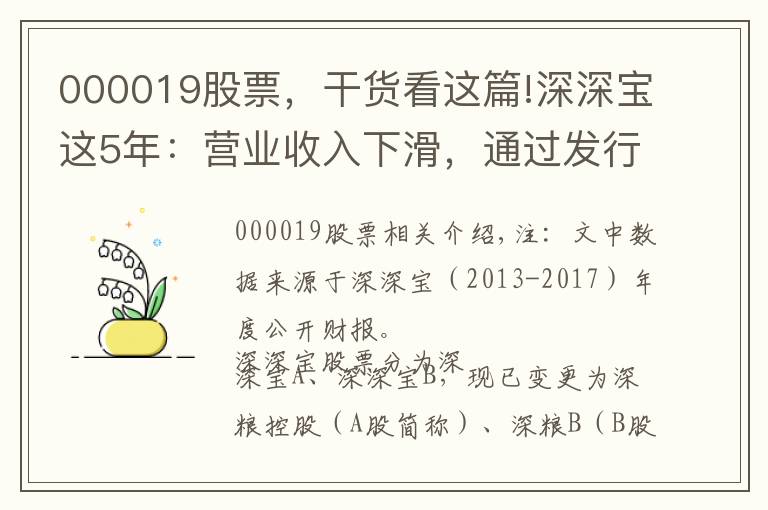 000019股票,干货看这篇!深深宝这5年:营业收入下滑,通过发行股份收购深粮,将走向哪?