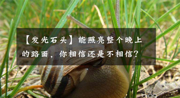 【发光石头】能照亮整个晚上的路面,你相信还是不相信?反正我不相信
