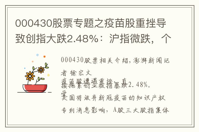 000430股票专题之疫苗股重挫导致创指大跌2.48%：沪指微跌，个股涨多跌少