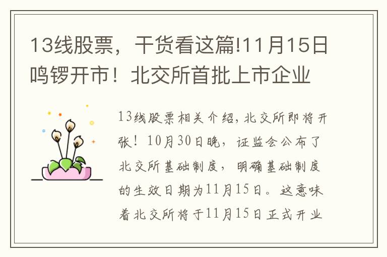 13线股票,干货看这篇!11月15日鸣锣开市!北交所首批上市企业或达82家 近七成三季报报喜