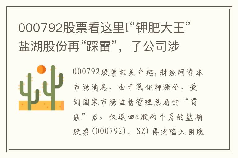 000792股票看这里!“钾肥大王”盐湖股份再“踩雷”,子公司涉嫌非法采矿或影响净利润3.56亿元