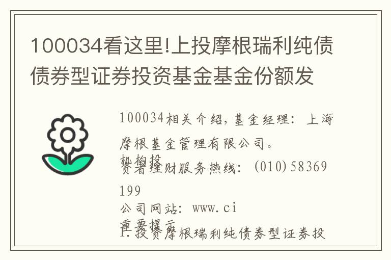 100034看这里!上投摩根瑞利纯债债券型证券投资基金基金份额发售公告