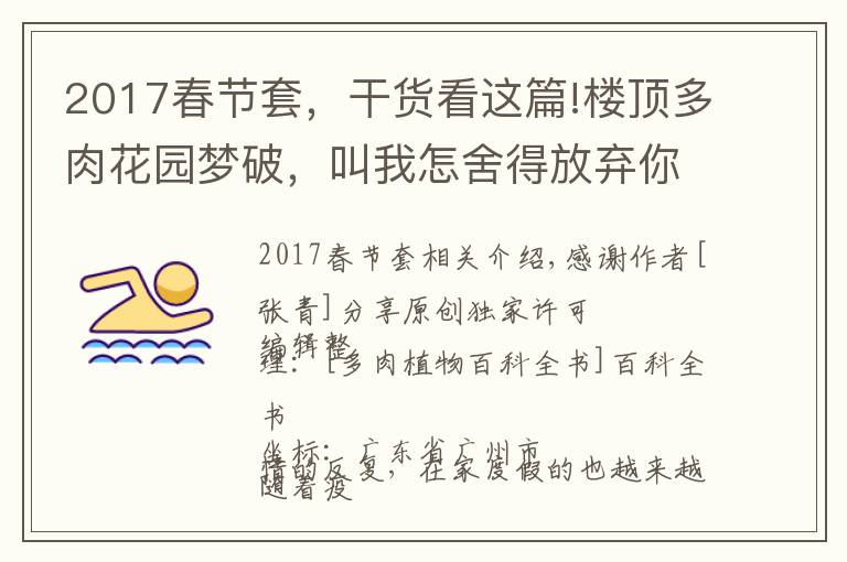 2017春节套,干货看这篇!楼顶多肉花园梦破,叫我怎舍得放弃你