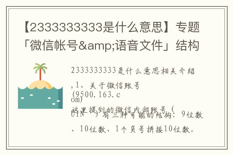 【2333333333是什么意思】专题「微信帐号&语音文件」结构分析