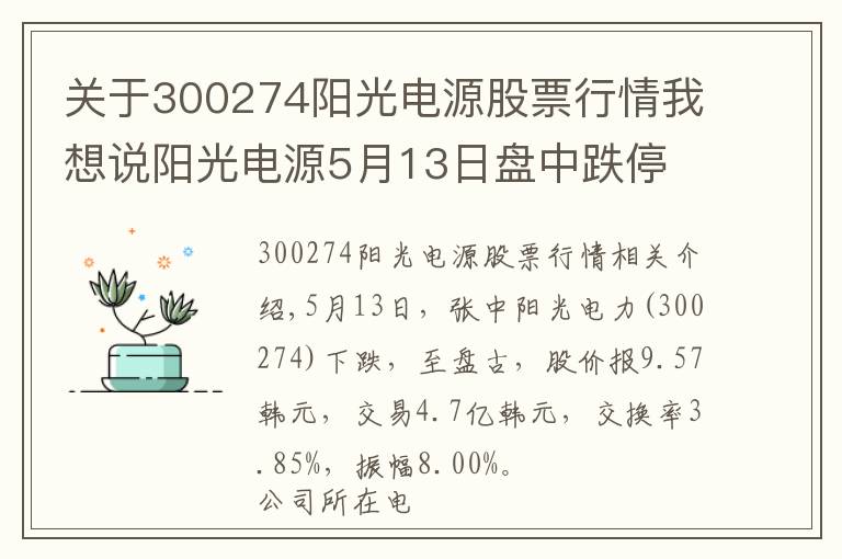关于300274阳光电源股票行情我想说阳光电源5月13日盘中跌停